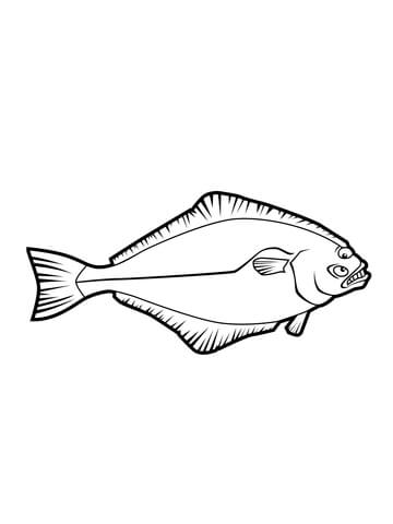 Halibut Flatfish Coloring Page